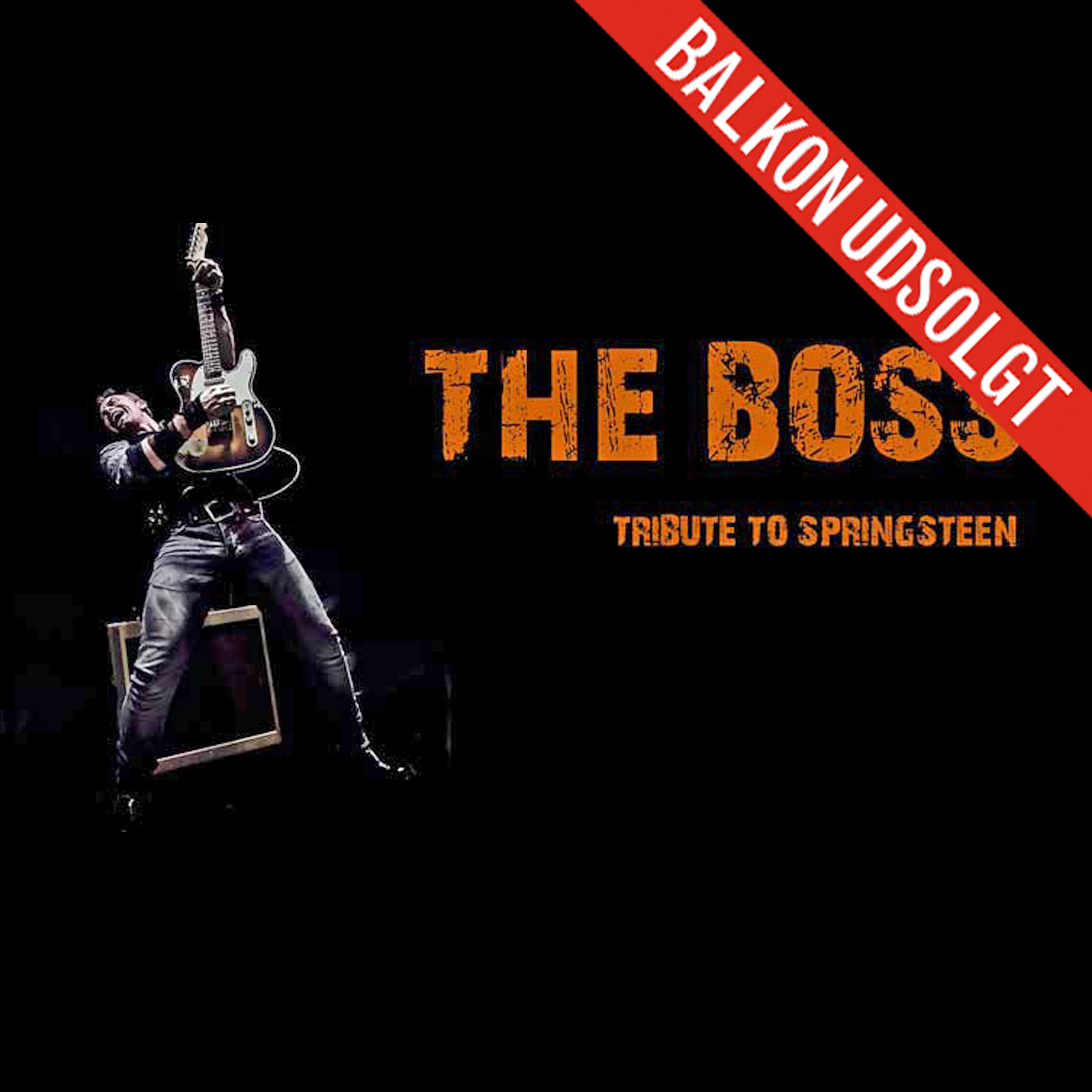 THE BOSS - Tribute to Bruce Springsten